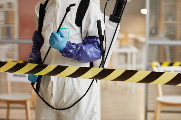 Professional Blood Cleanup technician working in Monitor, WA